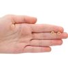 Solid 14K Yellow Gold Tiny Small Dainty Polished Open Paw Stud Earrings