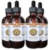 Hyssop (Hyssopus officinalis) Liquid Extract 4x4 Oz