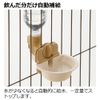 dog water dish s ivory