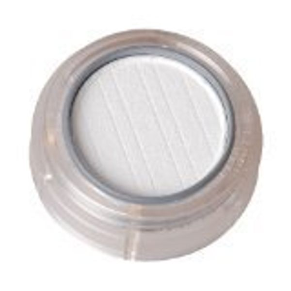 Fixing Powder 2 g (Pressed)