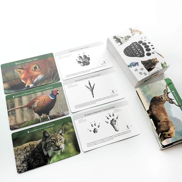 MEROCO Forest Animal Track Game Flash Cards