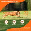 Bionic Toss-n-Tug Ring 9" Super Durable Dog Toy
