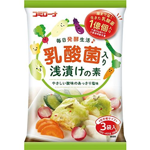 コーセーフーズ 乳酸菌入り浅漬けの素 60ｇ×10個セット