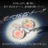 Coffret d'or Smile Up Cheeks S (Magical Flat) 02