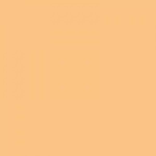 Lee #204 Full C.T. Orange Gel Filter