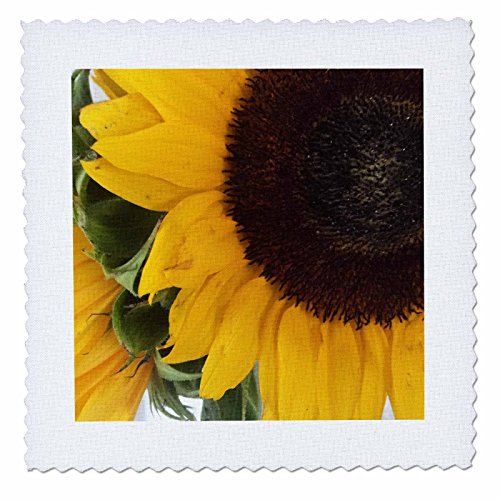 3D Rose Bright and Beautiful Sunflower Quilt, 10 x 10