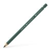 Coloured Pencil A.Durer 165