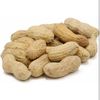 5 lbs Salted Roasted In-Shell Peanuts