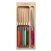 Steak Knife Set 6pcs in Wooden Tray: Multicolour