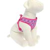 TOP PAW 5276800
