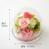 Ruplan Preserved Flower Amabilite Sweets Set (Bamkuchen) (Hapiness)