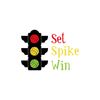 CafePress Set Spike Win Sticker Oval Car Bumper Sticker
