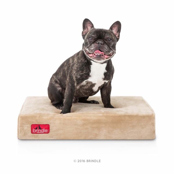 Brindle 4" Memory Foam Pet Bed, Standard, Khaki