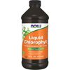 Liquid Chlorophyll 16oz – Super Concentrated Energy & Internal Deodorizer – Mint