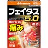 【第2類医薬品】フェイタス5.0温感 20枚 ×2