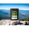 Peppermint Tea - Digestive System 