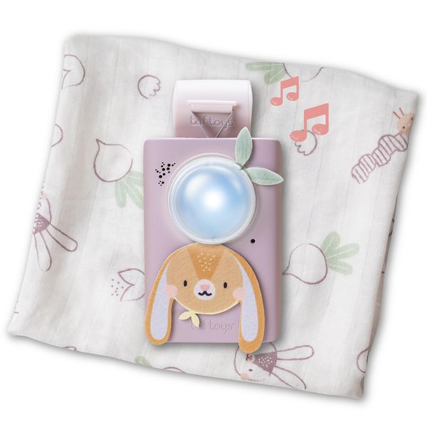 Taf Toys Bunny Pacifier & Changing Set