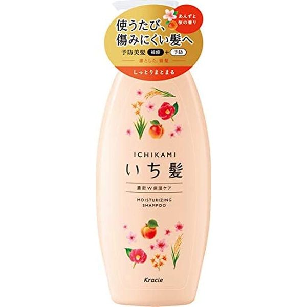 Ichikai Dense W Moisturizing Care Shampoo Pump 16.9 fl oz (480 ml) (x1)
