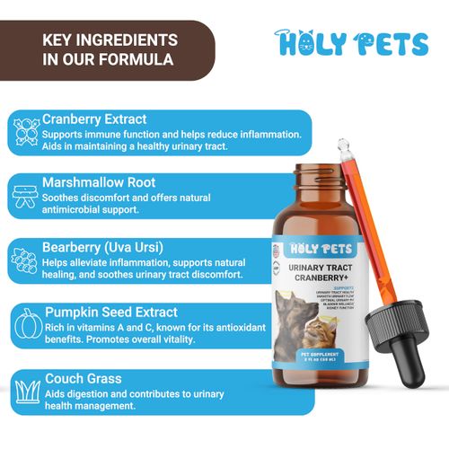 Natural UTI Medicine for Cats & Dogs, Urinary Tract Infection Treatment, Antibiotic Supplement for Pets - Helps with Bladder & Kidney Health, Flow, PH & Overall Function - All Natural
