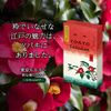Lululun Face Mask Pack, Tokyo Lulun (Stylish Camellia Mask), 1 Piece x 5 Bags