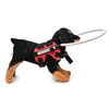 Ring Harness for Blind Dogs, Safety Guiding Device with Adjustable Ring - Red, Small