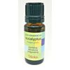 Eucalyptus 100% Pure Natural Essential Oil 