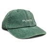 Vivian Flytrap Unisex Plants Washed Embroidered Dad Baseball Cap - Bottle Green