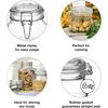 axentia Bormioli Rocco Fido container vase, hermetic closure 0.75 liter, glass, transparent, 1 piece