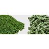 Boost Immune System Capsules - Stem Cell Booster 500mg - Chlorophyll Powder 1B