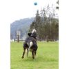 DOOG - Fetchable Ball, Blue (FFB02)