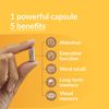 CocoaVia Memory & Focus Brain Supplement, 30 Day, Cocoa Flavanol Blend, Lutein, Added Caffeine for Boost. Improve Cognitive Function, Attention, Vegan & Plant Based, 30 Capsules