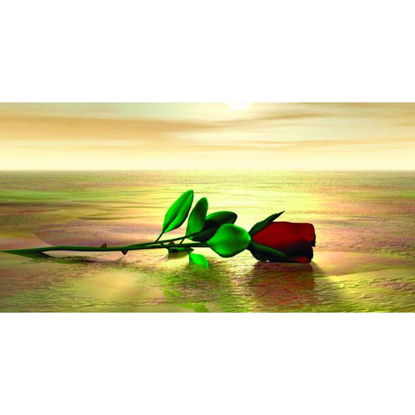 Rose on Beach License Plate Customized with your name