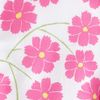 Hietripat Silk Cotton 007