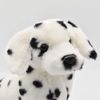 Dalmatian 28 bh6724