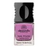 standard 34 Alessandro vernice viola di seta, 1er Pack (1 x 10 ml)
