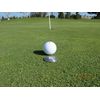 Levelhead Ballmarker Putting Aid (Green) - Alignment Tool for Reading The Green