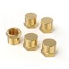 GASHER 1/8"NPT Brass Pipe Cap, NPT Female Thread Socket Pipe End Cap Plugs Fitting 5PCS
