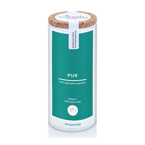 Wunschkapsel Pure Choline (Vitamin B4), 600 mg per day, 290 Handmade, Vegan Wishing Capsules