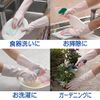 [Bulk Purchase] Family Vinyl Gloves, Medium Thickness, Reinforced Fingertips, Size S, Pink x 4, For Cleaning, Washing, Dishwashing