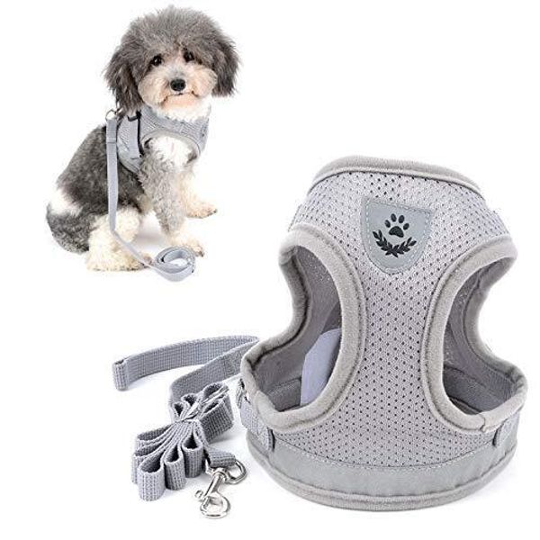 Ranphy Reflective Dog Vest Harness No-Pull Pet Step-in Jacket with Matching