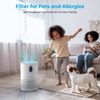MOOKA Official Certified Replacement HEPA Filter for B-D02L Air Purifier (2-P...
