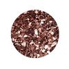 Metallic Crush Shell Powder (Brown) Shell Shell Shelf Lake Plate Nail Resin Stone