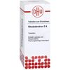 DHU Rhododendron D6 Tabletten, 80 St. Tabletten