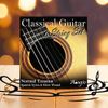 Adagio Pro CLASSICAL Guitar Strings - Normal Tension Nylon - Full Pack/Set