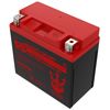 Neptune Power Products YTX20L-BS / YTX20HL-BS High Performance