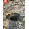 2025 Shot Show Patch Mini Bedlam Benchmade