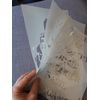 Feathers with Birds A4 190 Micron Mylar Stencil