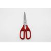 Kitchen Scissors Titanium Coated  Detachable Multi Use Scissors ( Easy Clean )