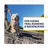 Ruffwear All-Terrain Dog Boots (Set of 2), Miniature Breeds, Size: 38 mm/1.5 in, Obsidian Black, Grip Trex, P15202-001150