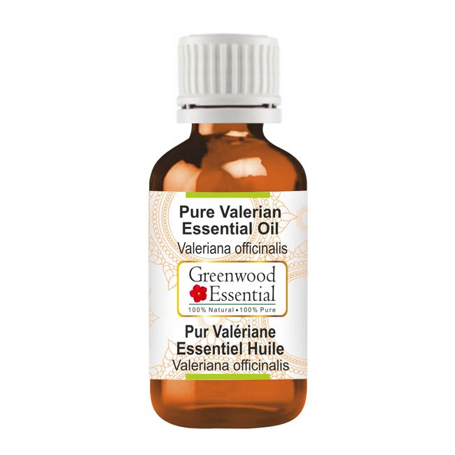 Greenwood Essential Pure Valerian Essential Oil (Valeriana officinalis) Steam Distilled 5ml (0.16 oz)